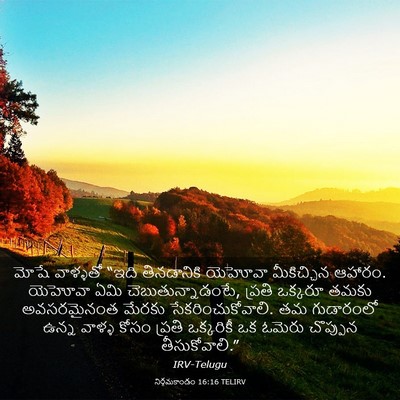 Picture 03 - నిర్గమకాండం 16:16 TELIRV - మోషే వాళ్ళతో “ఇది - Bible Verse Picture
