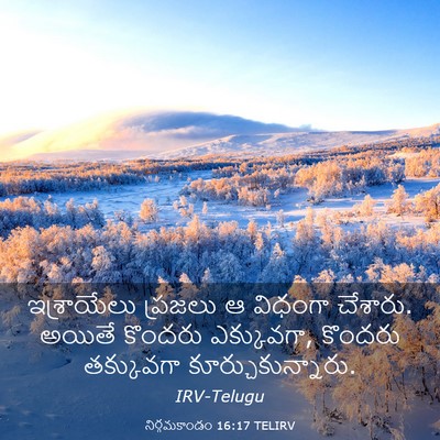 Picture 03 - నిర్గమకాండం 16:17 TELIRV - ఇశ్రాయేలు ప్రజలు - Bible Verse Picture