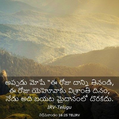 Picture 03 - నిర్గమకాండం 16:25 TELIRV - అప్పడు మోషే “ఈ - Bible Verse Picture
