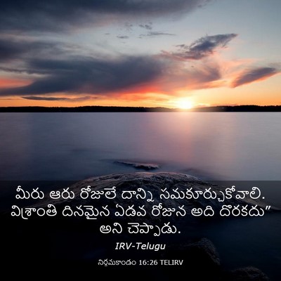Picture 03 - నిర్గమకాండం 16:26 TELIRV - మీరు ఆరు రోజులే - Bible Verse Picture