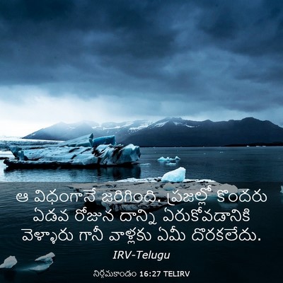 Picture 03 - నిర్గమకాండం 16:27 TELIRV - ఆ విధంగానే - Bible Verse Picture