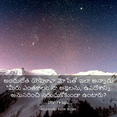 Picture 03 - నిర్గమకాండం 16:28 TELIRV - అందుచేత యెహోవా - Bible Verse Picture