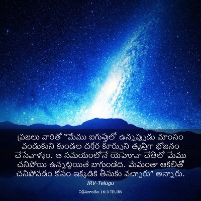 Picture 03 - నిర్గమకాండం 16:3 TELIRV - ప్రజలు వారితో - Bible Verse Picture