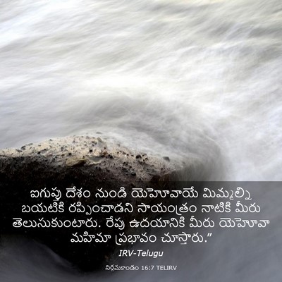 Picture 03 - నిర్గమకాండం 16:7 TELIRV - ఐగుప్తు దేశం - Bible Verse Picture