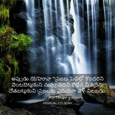 Picture 03 - నిర్గమకాండం 17:5 TELIRV - అప్పుడు యెహోవా - Bible Verse Picture