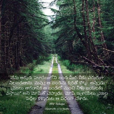 Picture 03 - నిర్గమకాండం 17:6 TELIRV - నేను అక్కడ - Bible Verse Picture