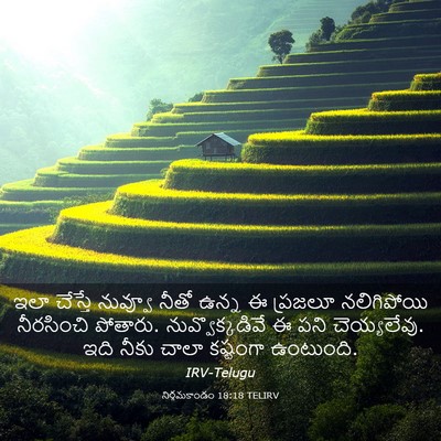 Picture 03 - నిర్గమకాండం 18:18 TELIRV - ఇలా చేస్తే నువ్వూ - Bible Verse Picture
