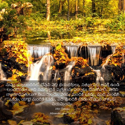 Picture 03 - నిర్గమకాండం 18:21 TELIRV - నువ్వు - Bible Verse Picture