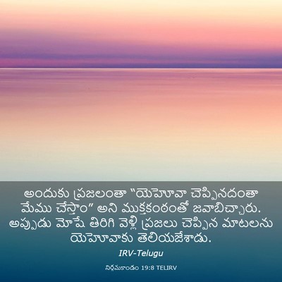 Picture 03 - నిర్గమకాండం 19:8 TELIRV - అందుకు ప్రజలంతా - Bible Verse Picture