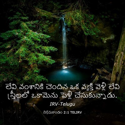 Picture 03 - నిర్గమకాండం 2:1 TELIRV - లేవి వంశానికి - Bible Verse Picture