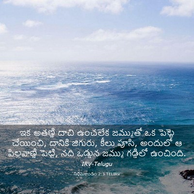 Picture 03 - నిర్గమకాండం 2:3 TELIRV - ఇక అతణ్ణి దాచి - Bible Verse Picture