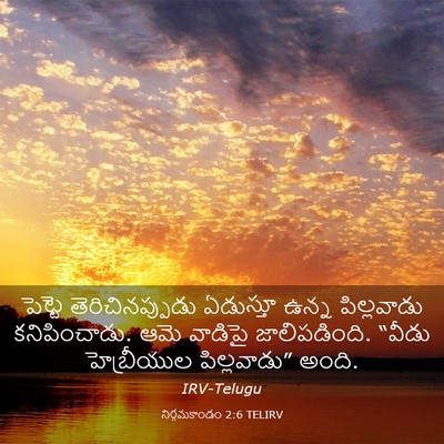 Picture 03 - నిర్గమకాండం 2:6 TELIRV - పెట్టె - Bible Verse Picture