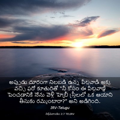 Picture 03 - నిర్గమకాండం 2:7 TELIRV - అప్పుడు దూరంగా - Bible Verse Picture
