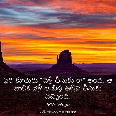 Picture 03 - నిర్గమకాండం 2:8 TELIRV - ఫరో కూతురు - Bible Verse Picture