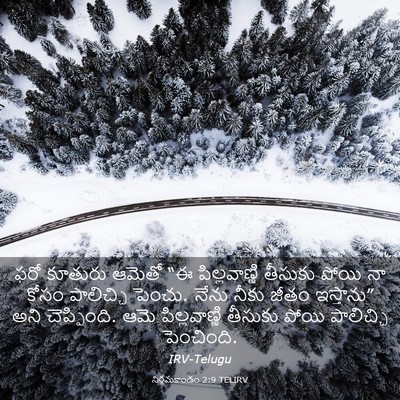 Picture 03 - నిర్గమకాండం 2:9 TELIRV - ఫరో కూతురు ఆమెతో - Bible Verse Picture