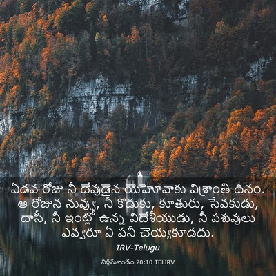 Picture 03 - నిర్గమకాండం 20:10 TELIRV - ఏడవ రోజు నీ - Bible Verse Picture