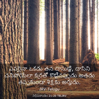 Picture 03 - నిర్గమకాండం 21:20 TELIRV - ఎవరైనా ఒకడు తన - Bible Verse Picture
