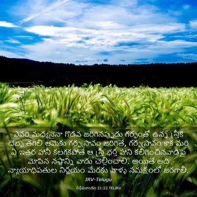 Picture 03 - నిర్గమకాండం 21:22 TELIRV - ఎవరి మధ్యనైనా - Bible Verse Picture