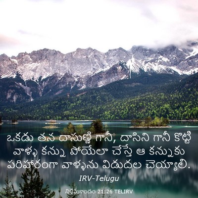 Picture 03 - నిర్గమకాండం 21:26 TELIRV - ఒకడు తన దాసుణ్ణి - Bible Verse Picture