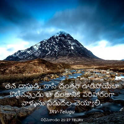 Picture 03 - నిర్గమకాండం 21:27 TELIRV - తన దాసుడి, దాసి - Bible Verse Picture