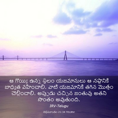 Picture 03 - నిర్గమకాండం 21:34 TELIRV - ఆ గొయ్యి ఉన్న - Bible Verse Picture