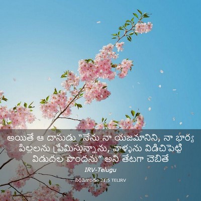 Picture 03 - నిర్గమకాండం 21:5 TELIRV - అయితే ఆ దాసుడు - Bible Verse Picture