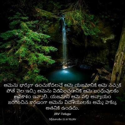 Picture 03 - నిర్గమకాండం 21:8 TELIRV - ఆమెను భార్యగా - Bible Verse Picture