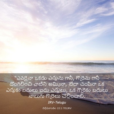 Picture 03 - నిర్గమకాండం 22:1 TELIRV - “ఎవరైనా ఒకడు - Bible Verse Picture