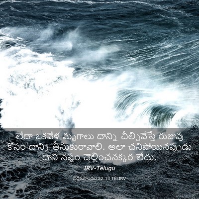 Picture 03 - నిర్గమకాండం 22:13 TELIRV - లేదా ఒకవేళ మృగాలు - Bible Verse Picture