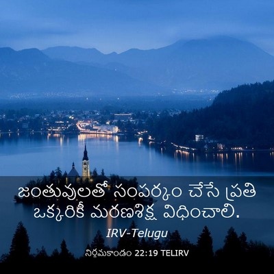 Picture 03 - నిర్గమకాండం 22:19 TELIRV - జంతువులతో సంపర్కం - Bible Verse Picture