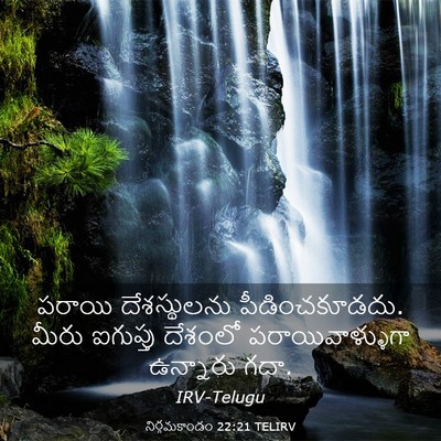 Picture 03 - నిర్గమకాండం 22:21 TELIRV - పరాయి దేశస్థులను - Bible Verse Picture
