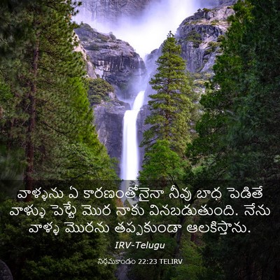 Picture 03 - నిర్గమకాండం 22:23 TELIRV - వాళ్ళను ఏ - Bible Verse Picture