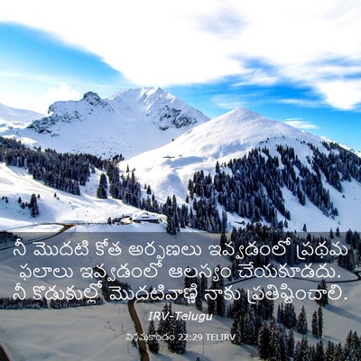 Picture 03 - నిర్గమకాండం 22:29 TELIRV - నీ మొదటి కోత - Bible Verse Picture