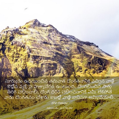 Picture 03 - నిర్గమకాండం 22:3 TELIRV - సూర్యుడు ఉదయించిన - Bible Verse Picture
