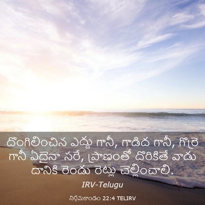 Picture 03 - నిర్గమకాండం 22:4 TELIRV - దొంగిలించిన ఎద్దు - Bible Verse Picture