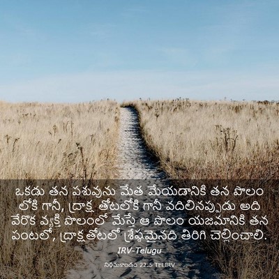 Picture 03 - నిర్గమకాండం 22:5 TELIRV - ఒకడు తన పశువును - Bible Verse Picture