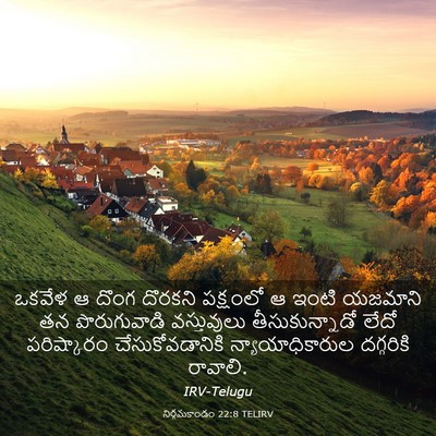 Picture 03 - నిర్గమకాండం 22:8 TELIRV - ఒకవేళ ఆ దొంగ - Bible Verse Picture