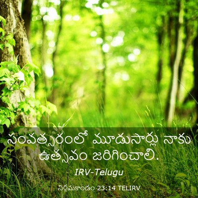 Picture 03 - నిర్గమకాండం 23:14 TELIRV - సంవత్సరంలో - Bible Verse Picture