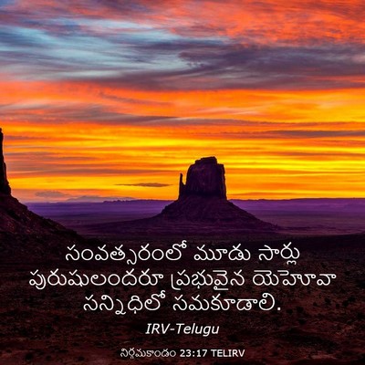 Picture 03 - నిర్గమకాండం 23:17 TELIRV - సంవత్సరంలో మూడు - Bible Verse Picture
