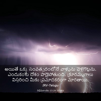 Picture 03 - నిర్గమకాండం 23:29 TELIRV - అయితే ఒక్క - Bible Verse Picture