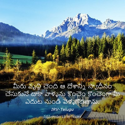 Picture 03 - నిర్గమకాండం 23:30 TELIRV - మీరు వృద్ధి చెంది - Bible Verse Picture