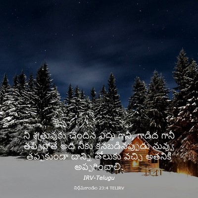 Picture 03 - నిర్గమకాండం 23:4 TELIRV - నీ శత్రువుకు - Bible Verse Picture