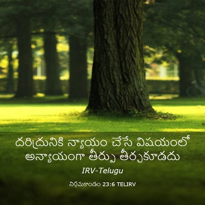 Picture 03 - నిర్గమకాండం 23:6 TELIRV - దరిద్రునికి - Bible Verse Picture