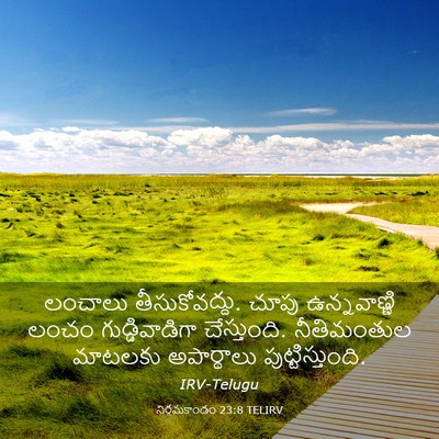 Picture 03 - నిర్గమకాండం 23:8 TELIRV - లంచాలు - Bible Verse Picture