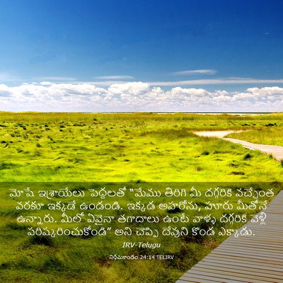Picture 03 - నిర్గమకాండం 24:14 TELIRV - మోషే ఇశ్రాయేలు - Bible Verse Picture