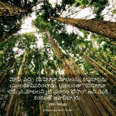 Picture 03 - నిర్గమకాండం 24:3 TELIRV - మోషే వచ్చి యెహోవా - Bible Verse Picture