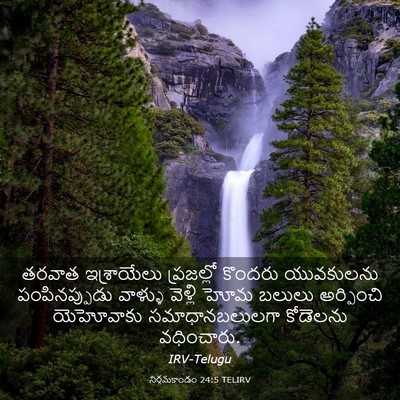 Picture 03 - నిర్గమకాండం 24:5 TELIRV - తరవాత ఇశ్రాయేలు - Bible Verse Picture