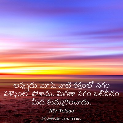 Picture 03 - నిర్గమకాండం 24:6 TELIRV - అప్పుడు మోషే వాటి - Bible Verse Picture