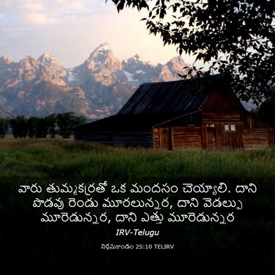 Picture 03 - నిర్గమకాండం 25:10 TELIRV - వారు తుమ్మకర్రతో - Bible Verse Picture