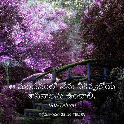 Picture 03 - నిర్గమకాండం 25:16 TELIRV - ఆ మందసంలో నేను - Bible Verse Picture